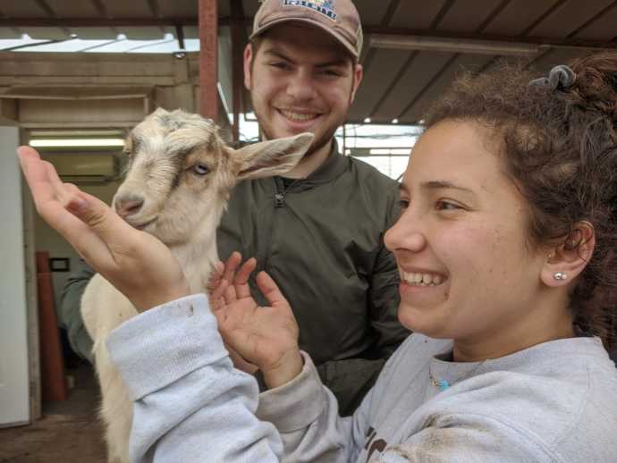 מתנדבים מצפון אמריקה בשנת ההכשרה בנוע&quot;ל. צלם: הנוער העובד והלומד
