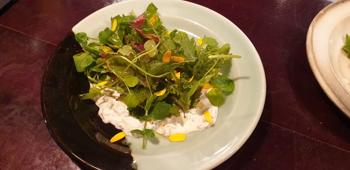 לאבנה ועלי חרדל כבושים עם סלט עלים מלוקטים בוויניגרט חמצמץ