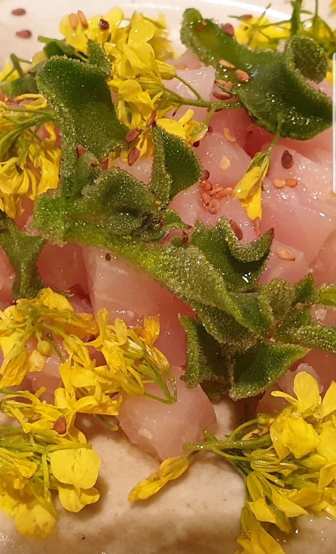 טרטר לוקוס. צילום: ניר קיפניס