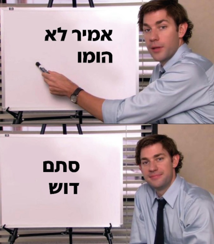 אמיר לא סביר