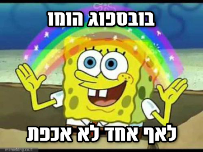 ספוג להט