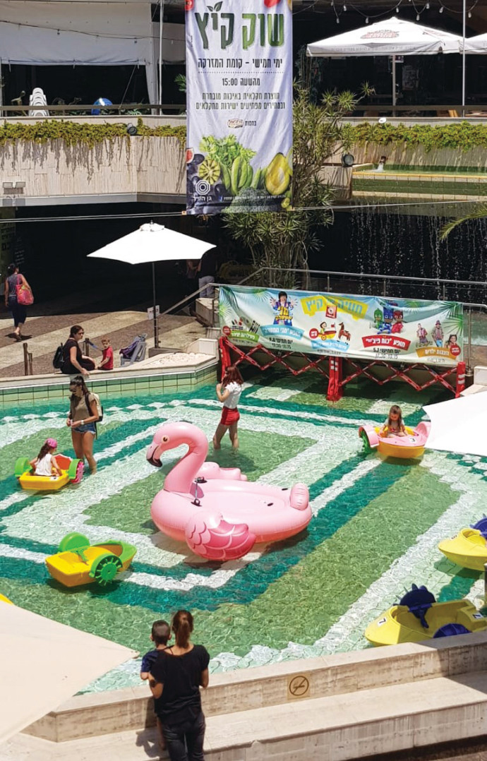 אגם הברבורים. צילום: יח