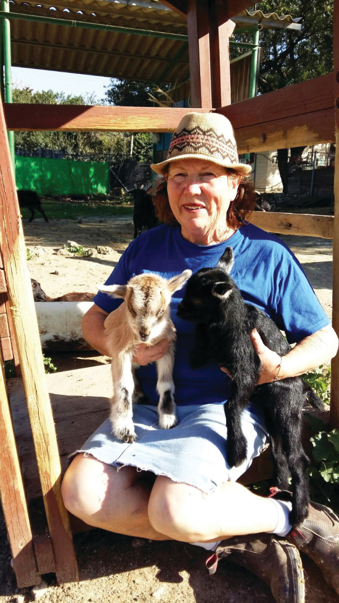 החווה של חווה. צילום פרטי